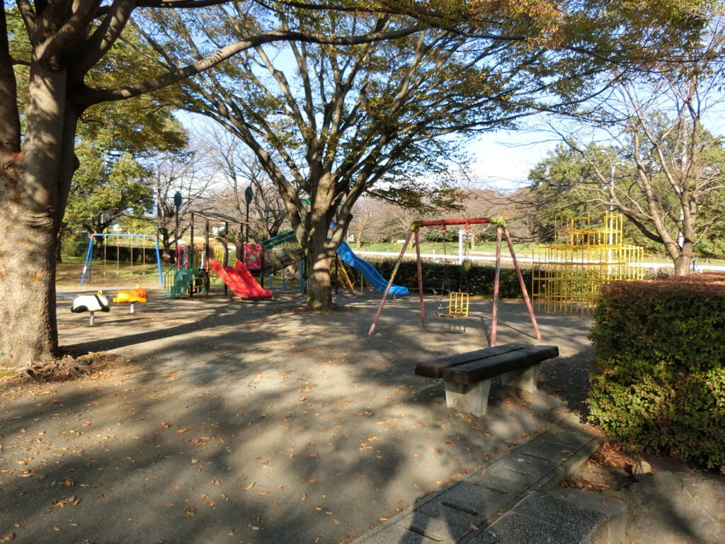 広見公園多目的広場遊具